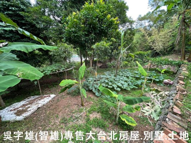 台北士林透天-12