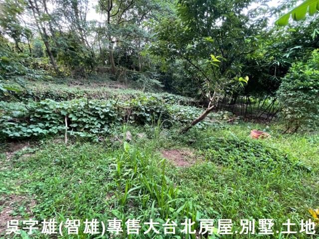 台北士林透天-2