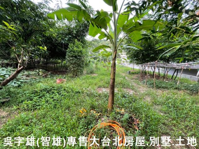台北士林透天-3