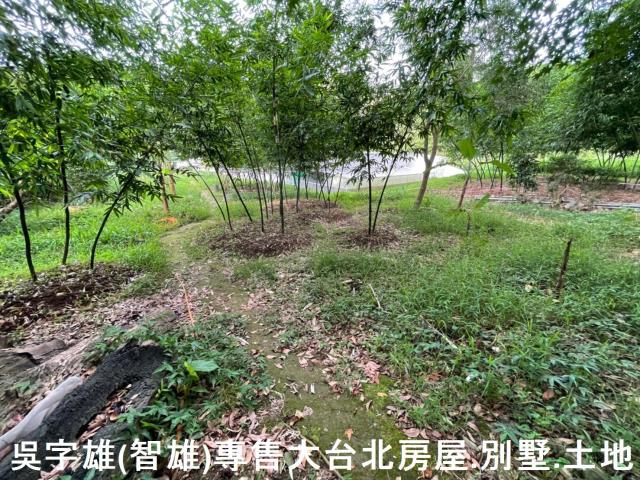 台北士林透天-7