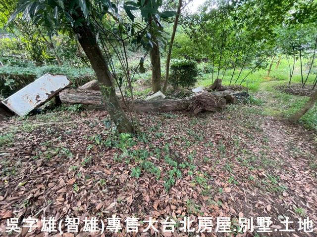台北士林透天-8