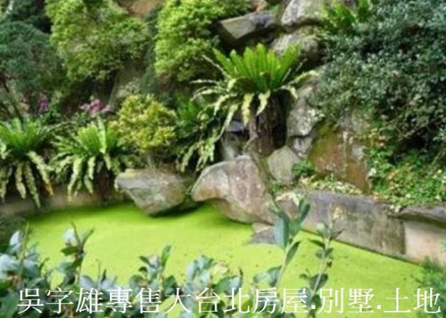 新北淡水透天-6