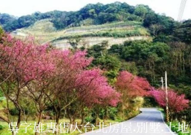 新北淡水透天-5
