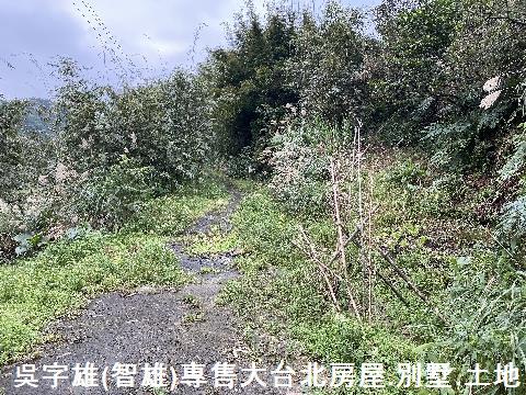 雙溪休閒地-2