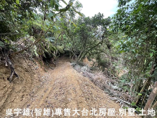雙溪休閒地-4