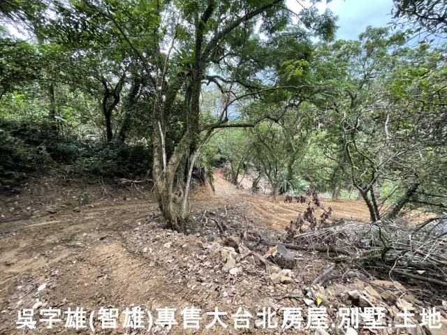 雙溪休閒地-6