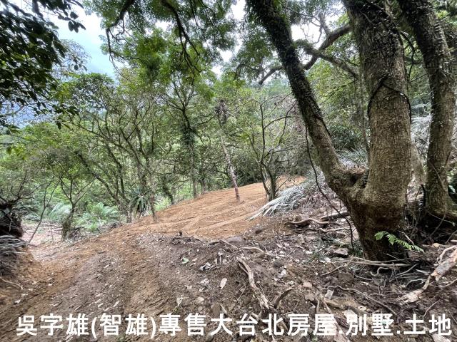 雙溪休閒地-7