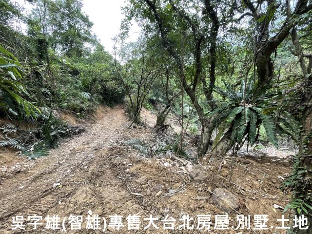 雙溪休閒地-8
