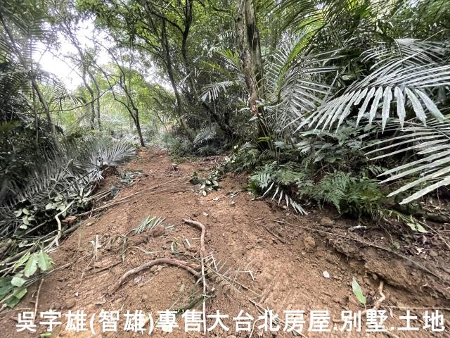 雙溪休閒地-9