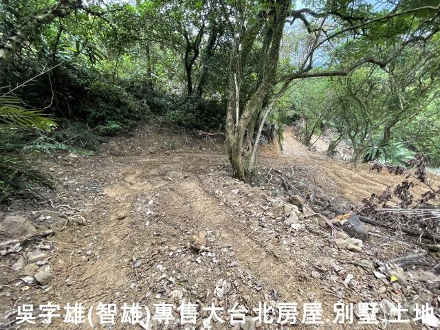 雙溪休閒地-12