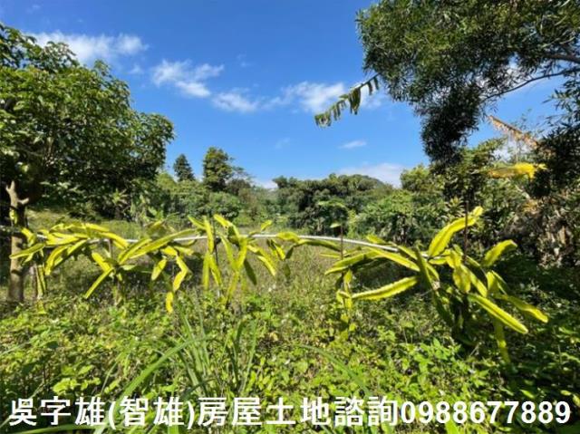 台北士林農地-11