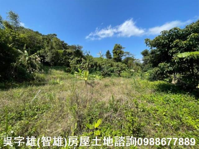 台北士林農地-13