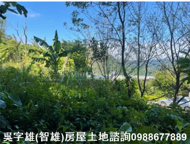 台北士林農地-1