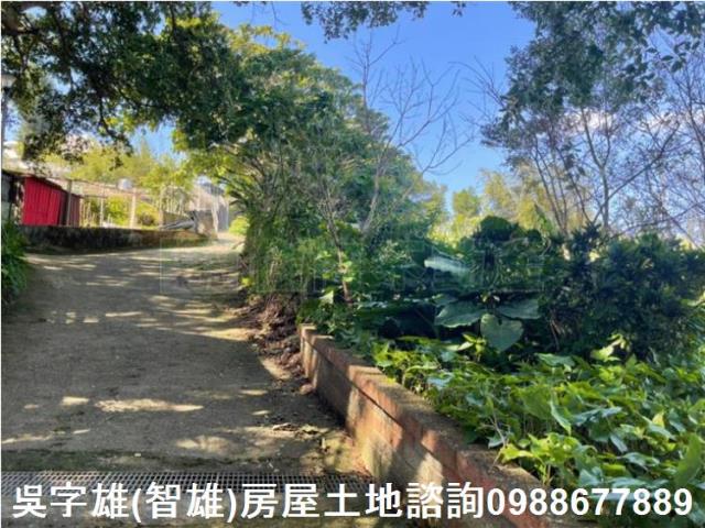 台北士林農地-5