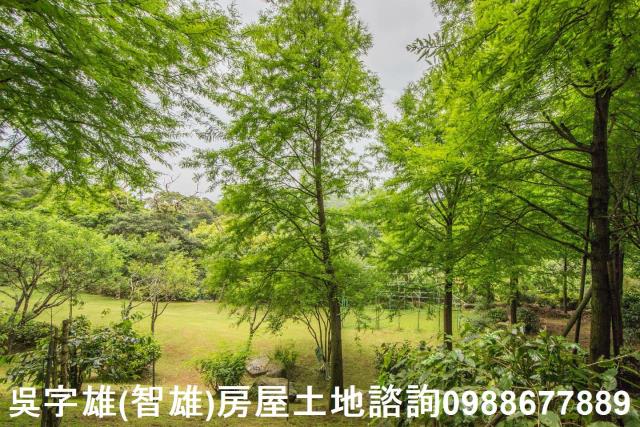 台北農地-9