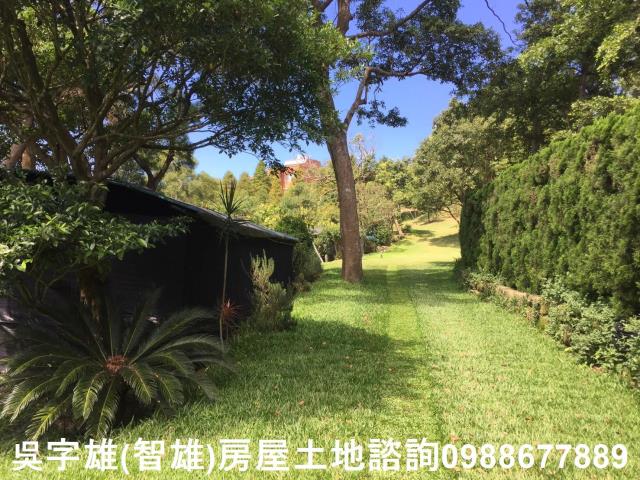 台北農地-3