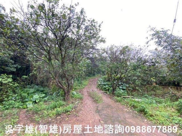 淡水農地-0