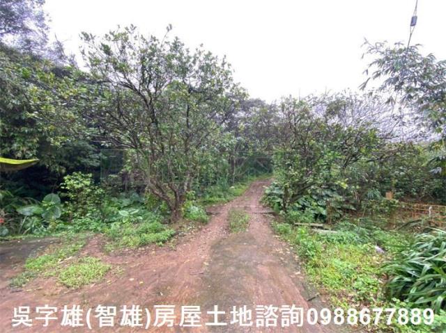 淡水農地-2