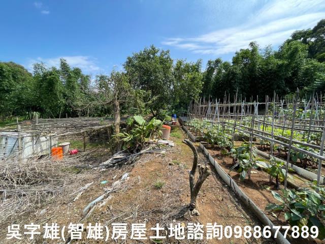 士林農地-9