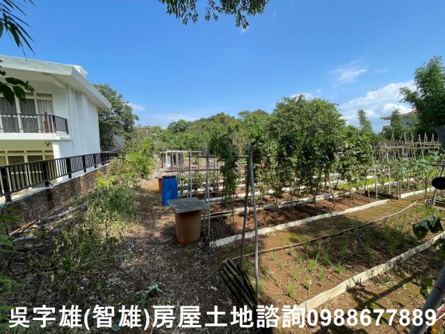 士林農地-12