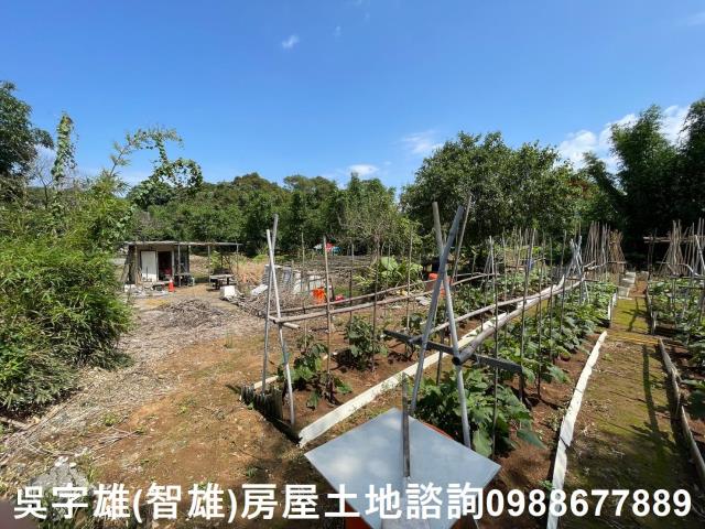 士林農地-14