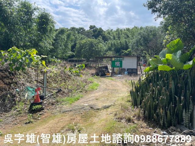 士林農地-4