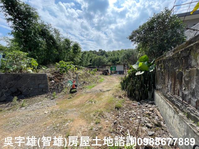 士林農地-5