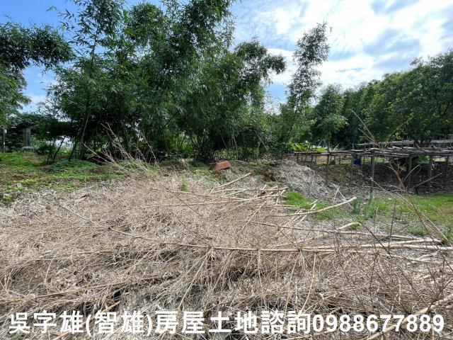 士林農地-6