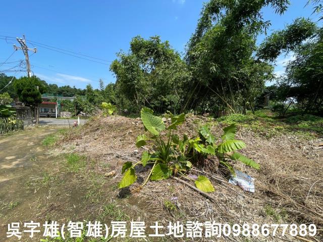 士林農地-7