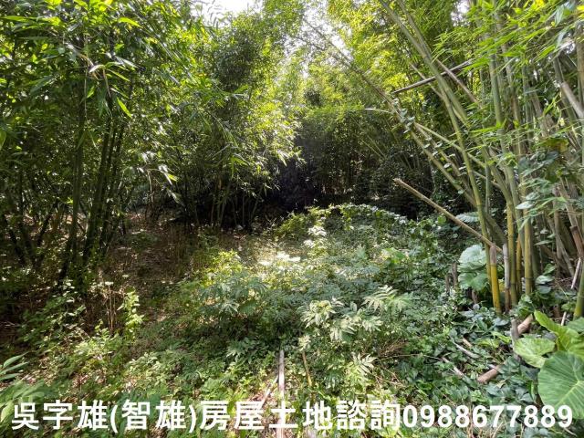 士林農地-8