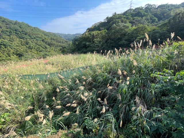桃園龜山建地-2