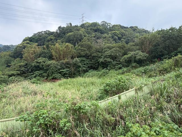 桃園龜山建地-8