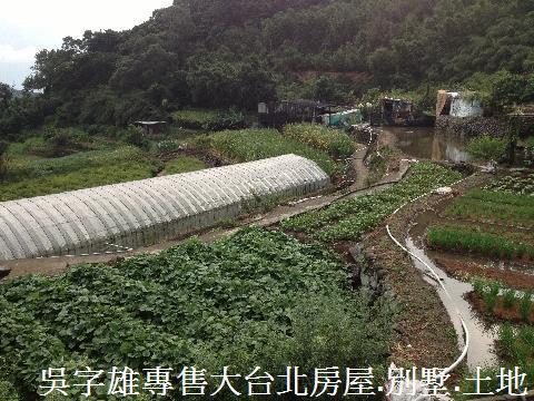 北投農地-6