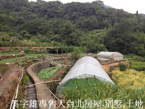 北投農地-3