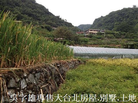 北投農地-8