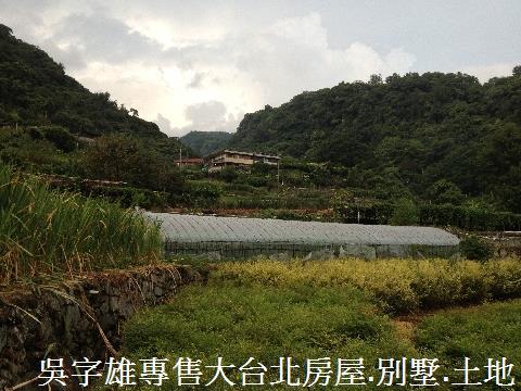 北投農地-9