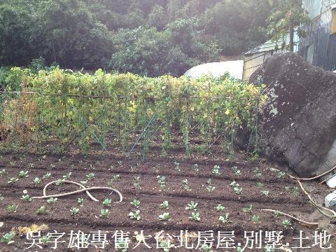 北投農地-7