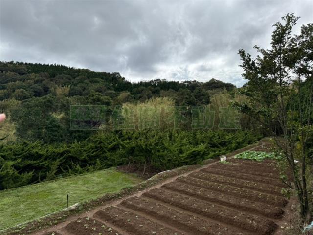 士林農地-6
