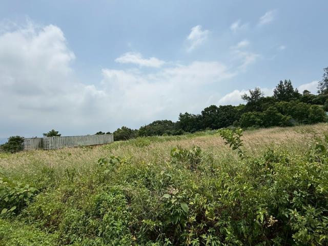 苗栗建地-9