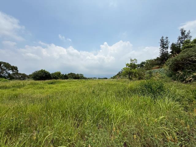 苗栗建地-8